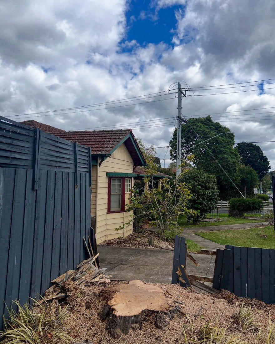 The same yard cleared and tidied after the storm-damaged tree was removed