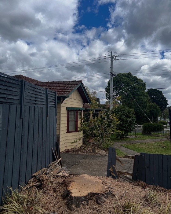 Cleared backyard after storm damage removal